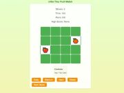 Fruit Memory Match Brain Puzzle