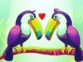 Love birds