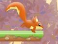 Nut rush Nut rush