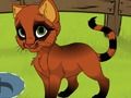 My Kitten My Kitten