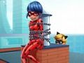 Cat Noir Rescue Ladybug 