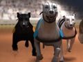 Greyhound Racing 