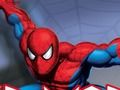 Spider Warrior 