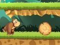 Banana Jungle 