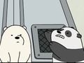 Baby Bear Bonanza 
