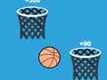 Basket Training 