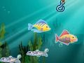 Let’s go fishing Let’s go fishing