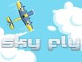 Sky Fly 