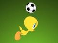 Looney Tunes Floating Futbol 