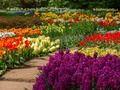 Flower Garden 2 Flower Garden 2