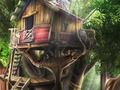 Hidden Treehouse 
