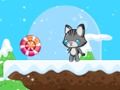 Kitty Chase 