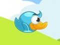 Baby Bird 