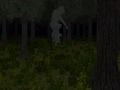 Caged Forest 