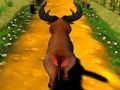 Escaped Bull 