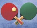Table Tennis World Tour Table Tennis World Tour