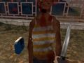 Warrior vs Zombies 