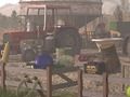 Hog farm 