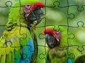 Jigsaw Puzzle Rain Forest 