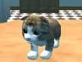 Cat Simulator: Kitty Craft! 