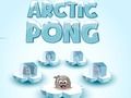 Arctic Pong 