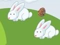 Crazy Eggs 