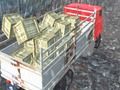 Offroad Truck Driver 