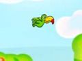Toucan Bird 