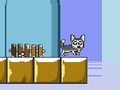 Mr Jump Husky 