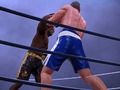 Boxing Club 