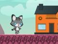 Lost Kitty Go Home 