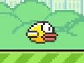 Crushy Bird 