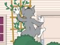 Tom und Jerry: Wasserbomben Wahnsinn 