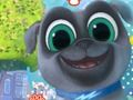 Puppy Dog Pals 