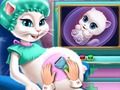 Kitty Pregnant Check-up 