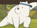 The whole truth about bears: furry and free 