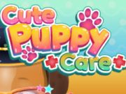 Cute Puppy Care Cute Puppy Care