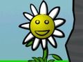 Flower Power 