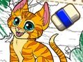 Color Me Pets 