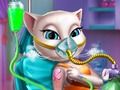 Kitty Mission Accident Er 