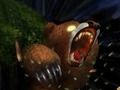 3D Bear Haunting 