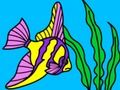 Coloring Underwater World 4 Coloring Underwater World 4
