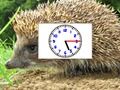 Puzzle Pics Clocks 