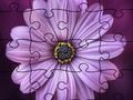 Jigsaw Puzzle Summer 