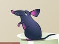 Rat and cheese 