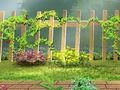 Garden Secrets Hidden Letters Garden Secrets Hidden Letters