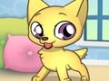 Princess Pet Studio 