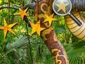 Jungle Hidden Stars 