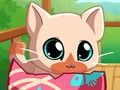 My Pocket Pets Kitty Cat My Pocket Pets Kitty Cat