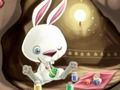 Rabbit: Find the differences 